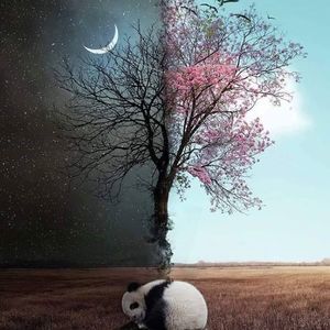 Meet your Posher, Jose